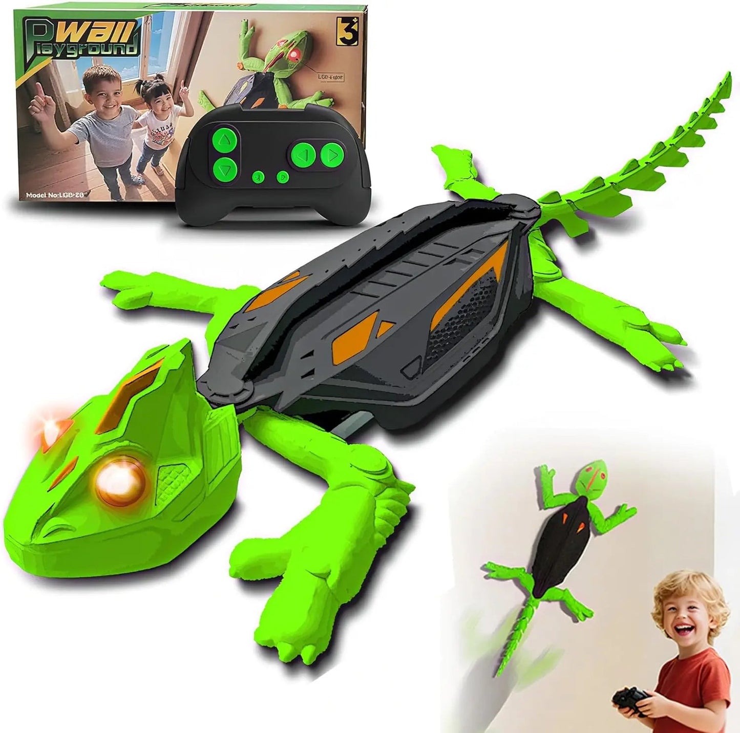 Wall Crawler Gecko